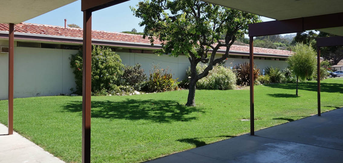 A green lawn in front of a building. Description generated by AI